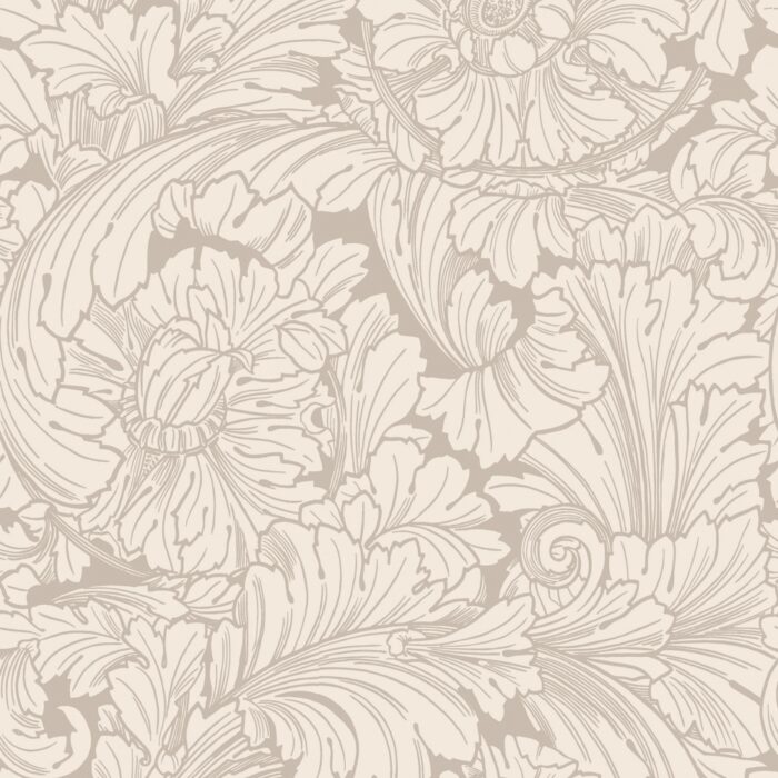 Acanthus 127-6029