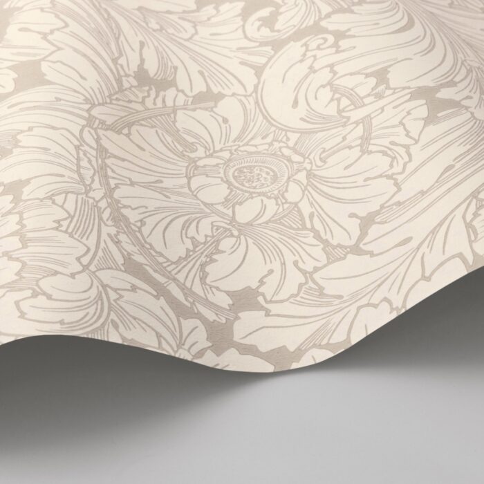 Acanthus 127-6029