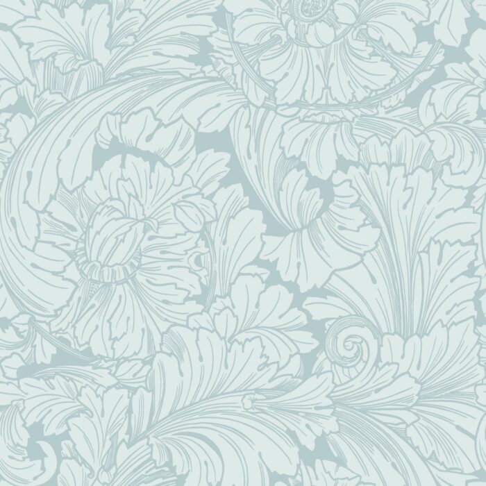 Acanthus 127-6030