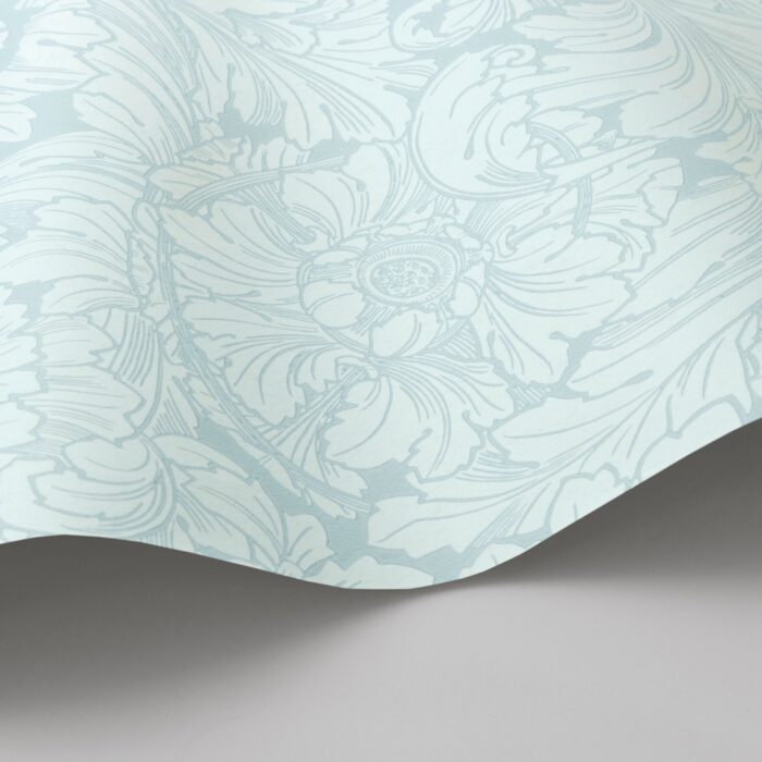 Acanthus 127-6030