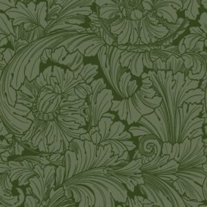 Acanthus 127-6031