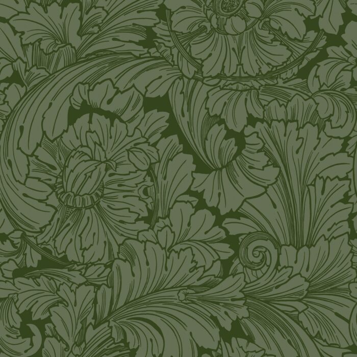 Acanthus 127-6031