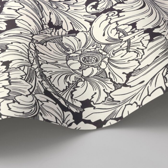 Acanthus 127-6032