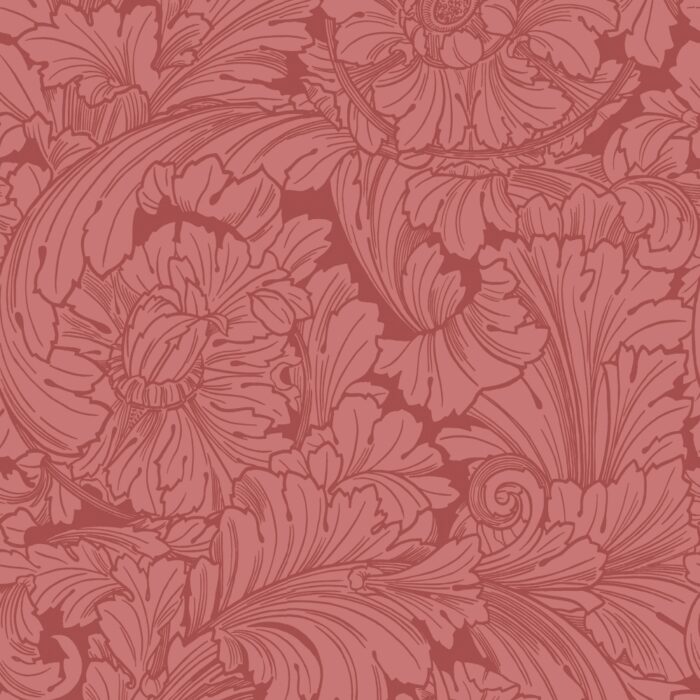 Acanthus 127-6033