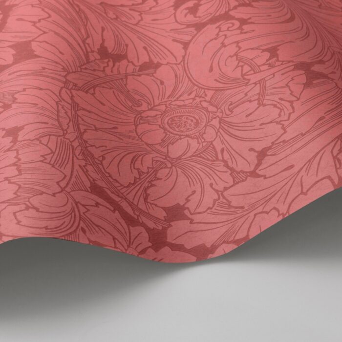 Acanthus 127-6033